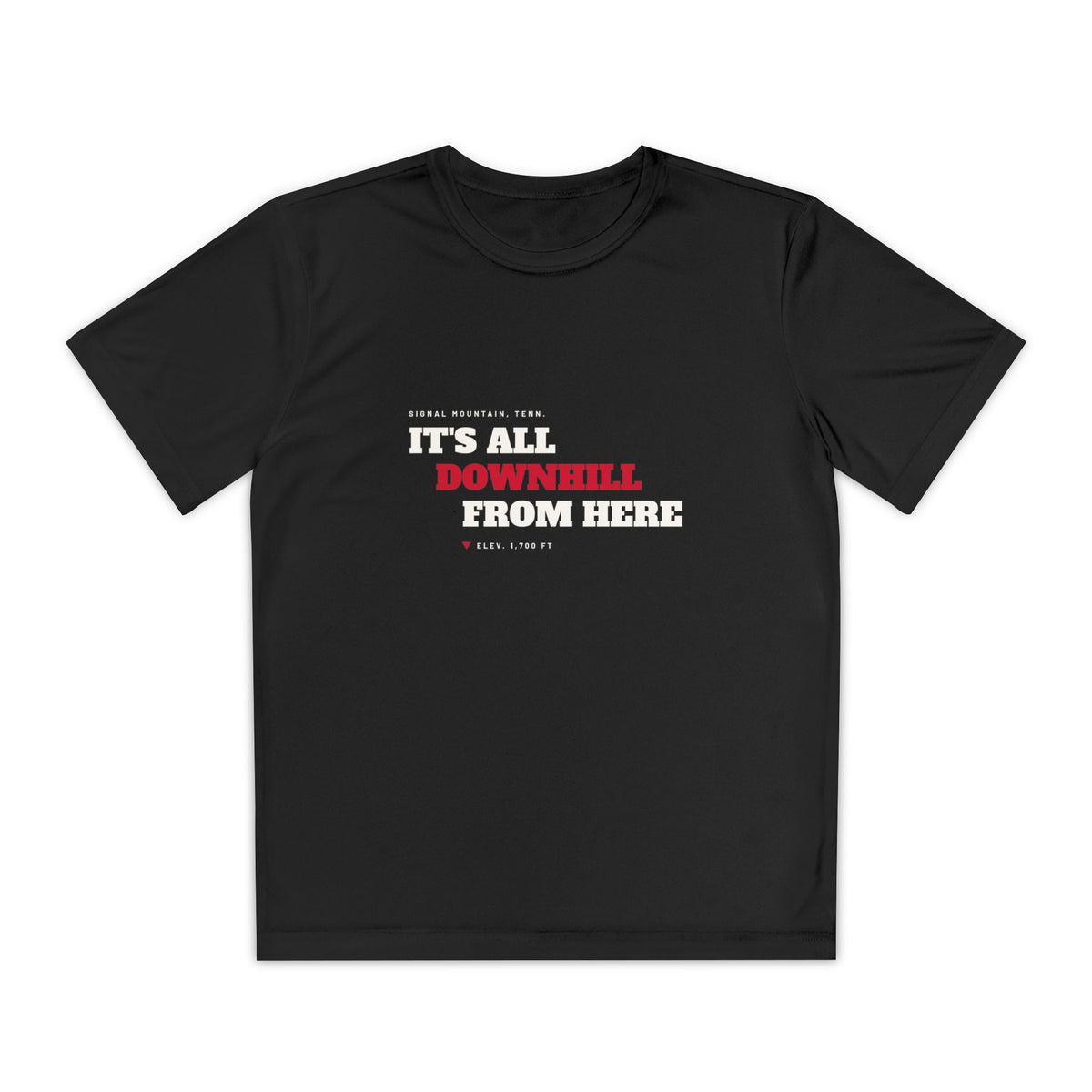 Youth It's All Downhill From Here Performance Tee — Signal Mountain, TN