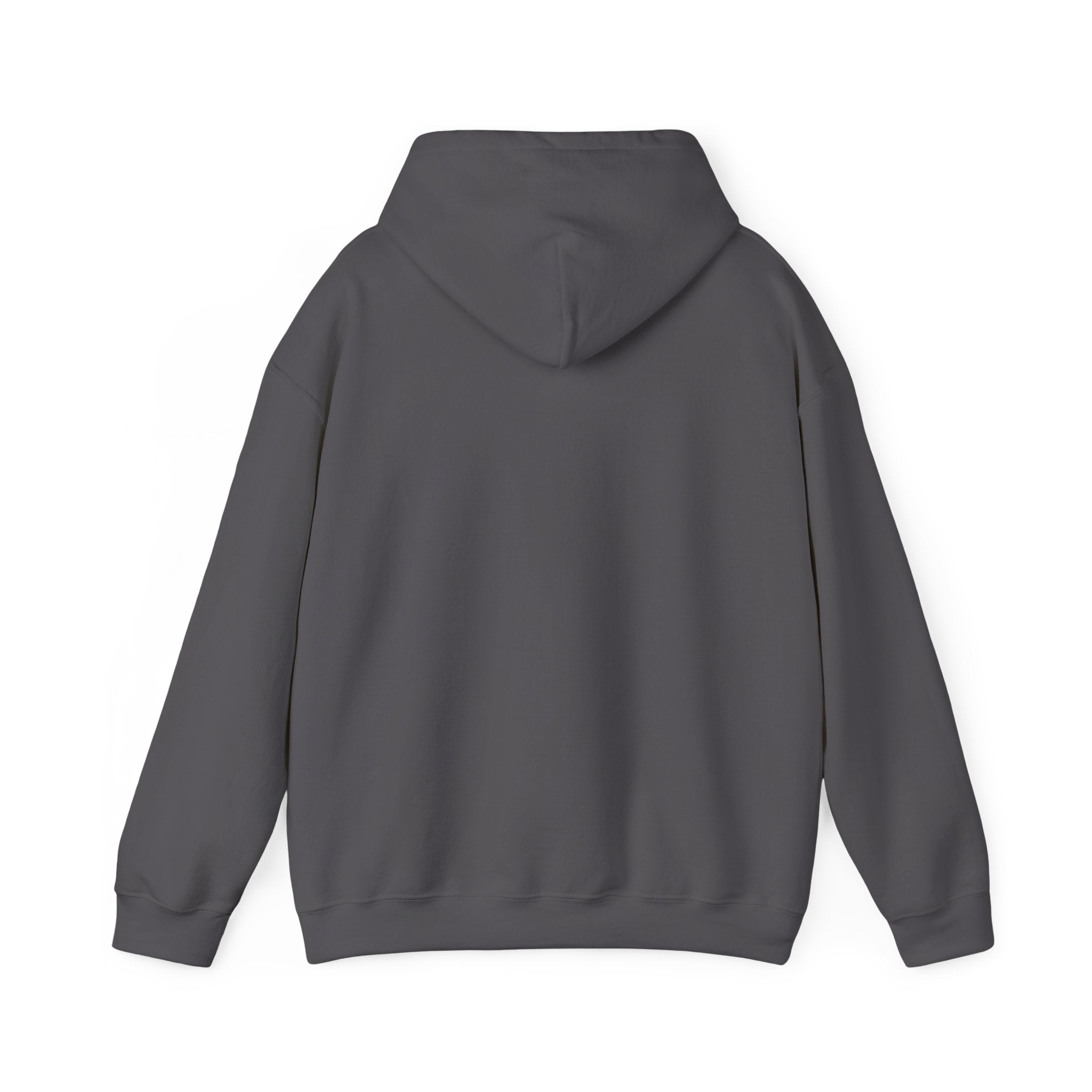 Elevated Excellence Hoodie — Signal Mountain, TN