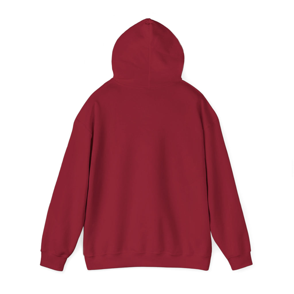 1/3 Mile High Hoodie — Signal Mountain, TN