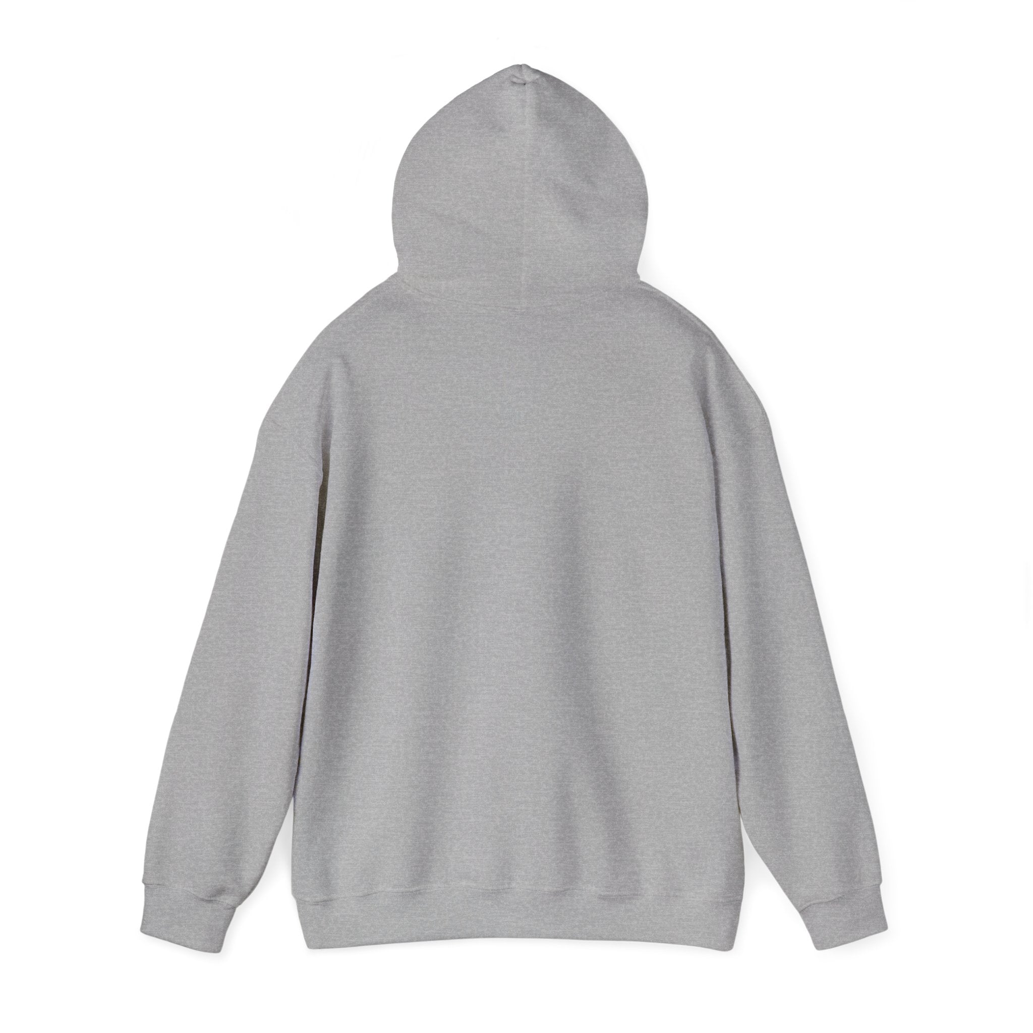 Eagles • 1700 FT Hoodie — Signal Mountain, TN