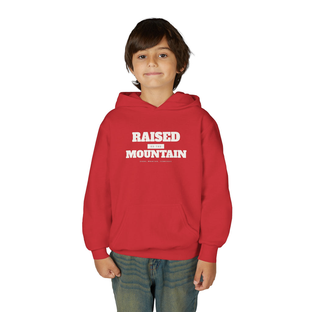 Youth Raised on the Mountain Hoodie — Signal Mountain, TN
