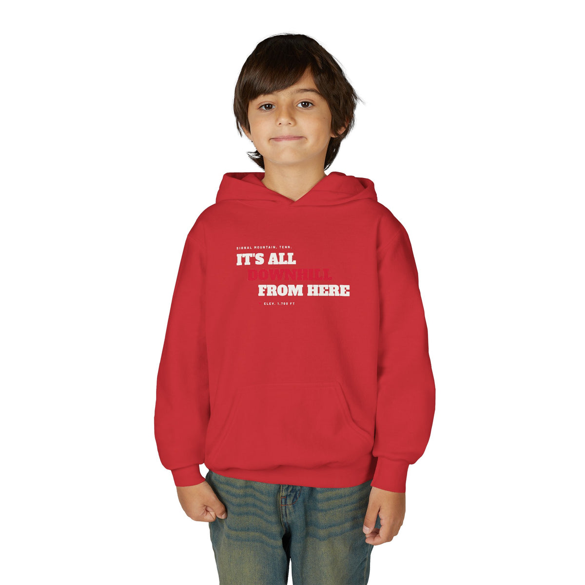 Youth It's All Downhill From Here Hoodie — Signal Mountain, TN