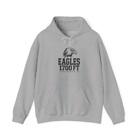 Eagles • 1700 FT Hoodie