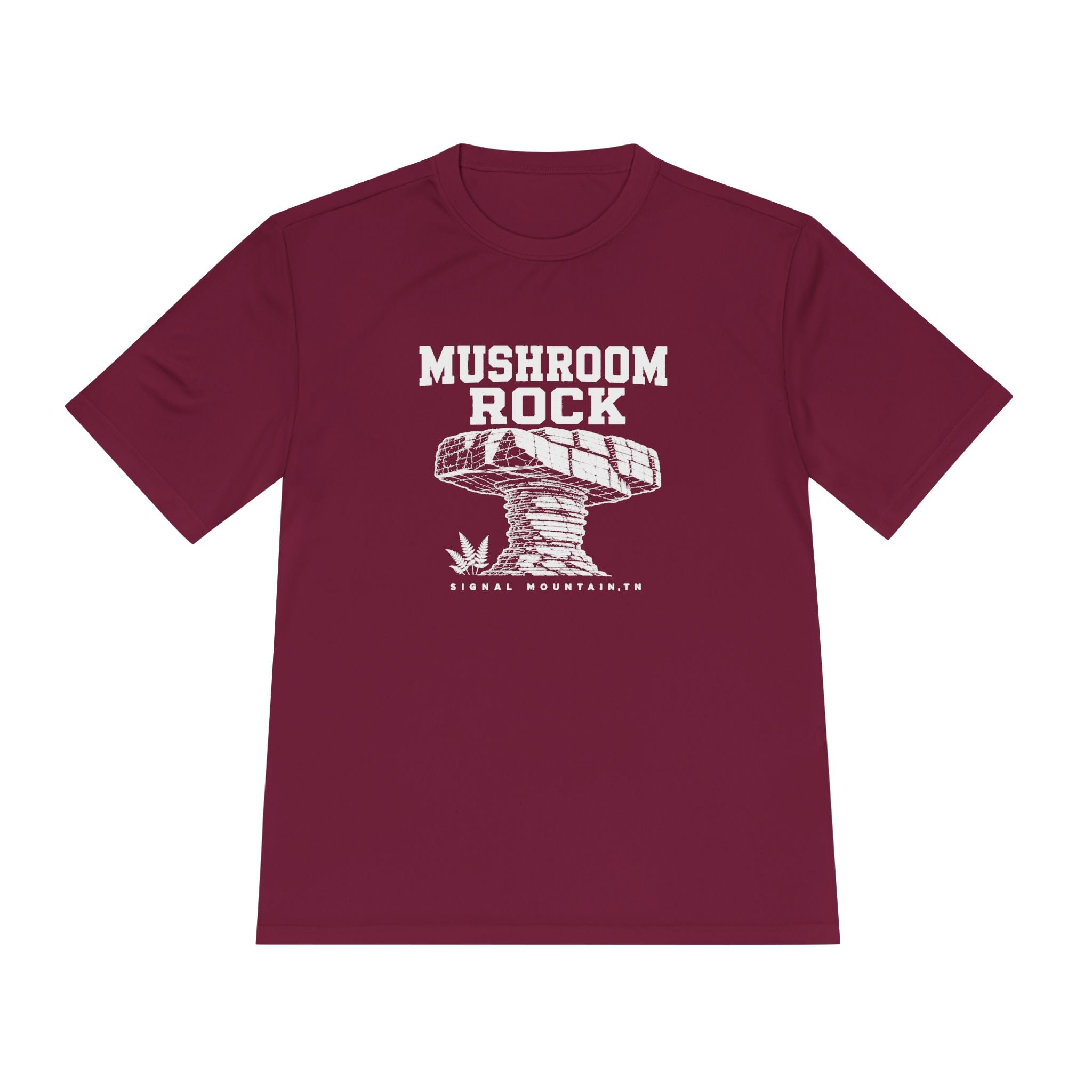 Men's Mushroom Rock Performance Tee — Signal Mountain, TN