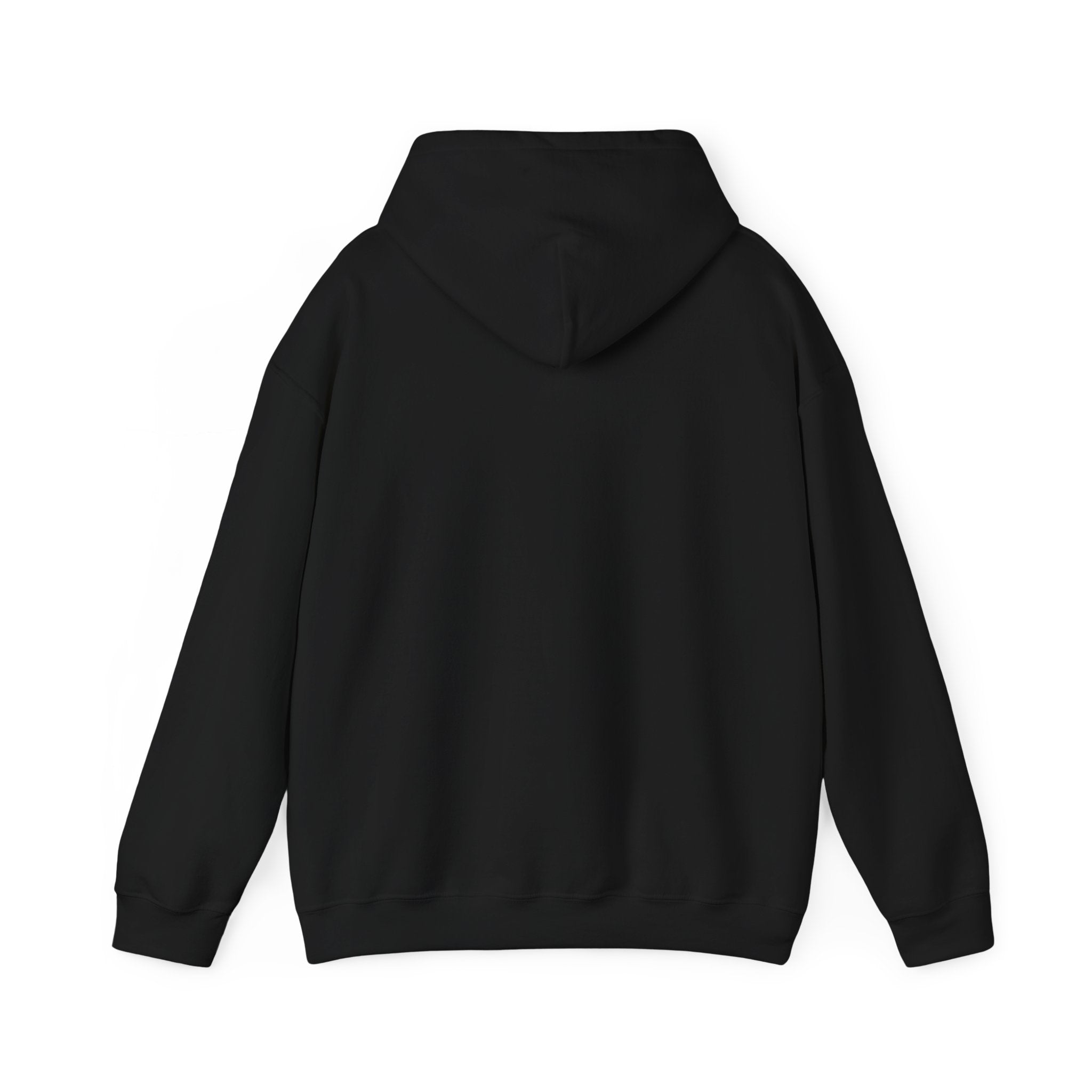 1/3 Mile High Hoodie — Signal Mountain, TN