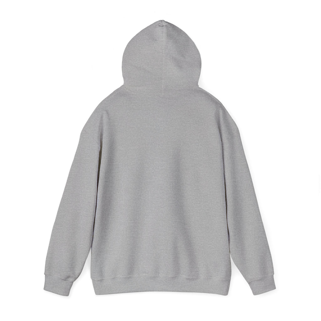 1/3 Mile High Hoodie — Signal Mountain, TN