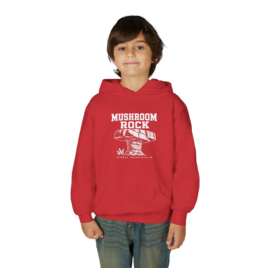 Youth Mushroom Rock Hoodie — Signal Mountain, TN
