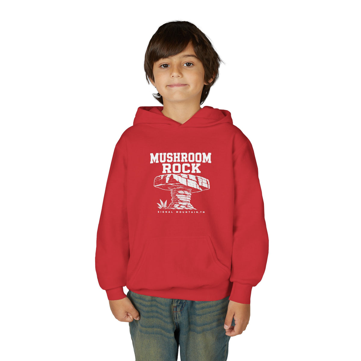 Youth Mushroom Rock Hoodie — Signal Mountain, TN