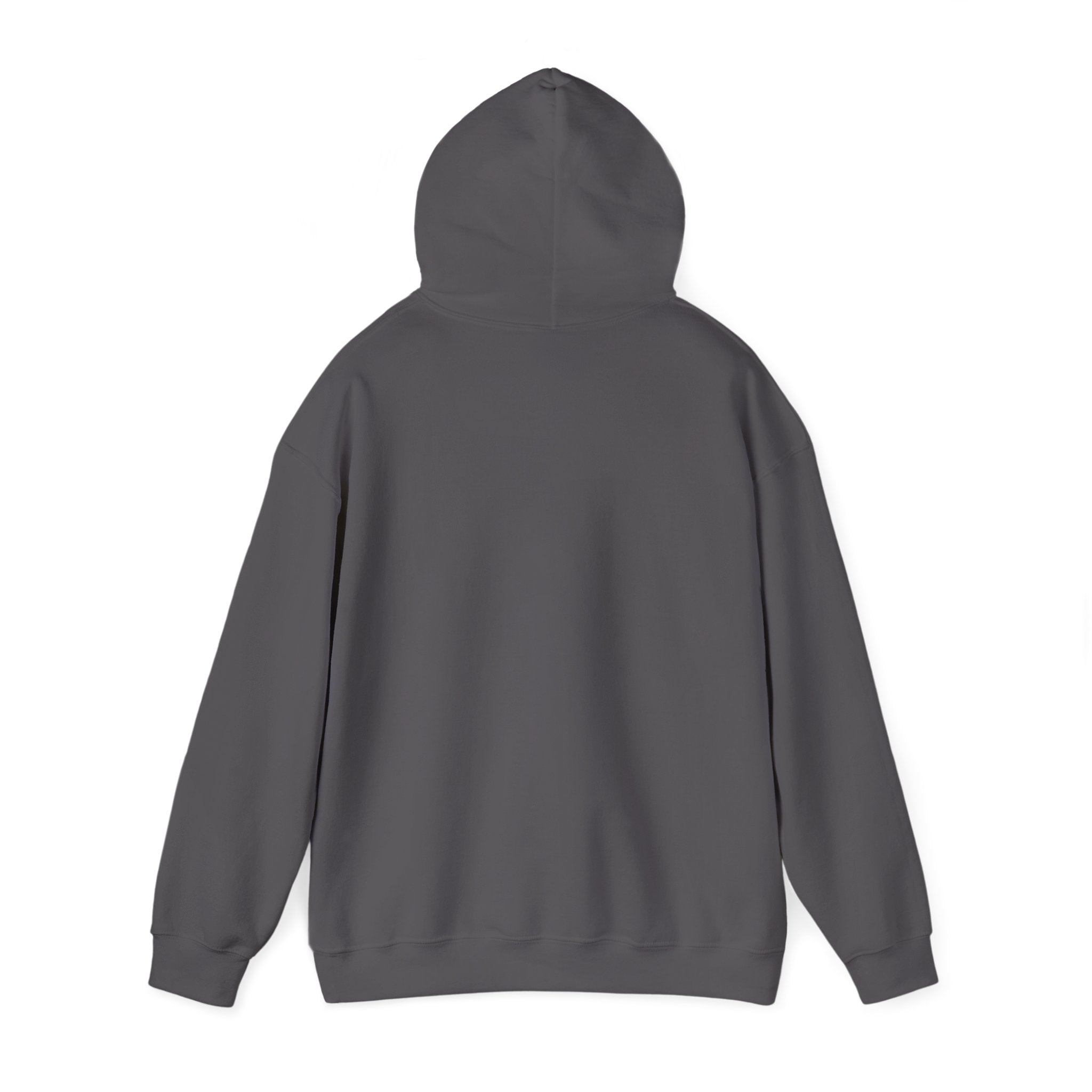 Higher Standards Hoodie — Signal Mountain, TN