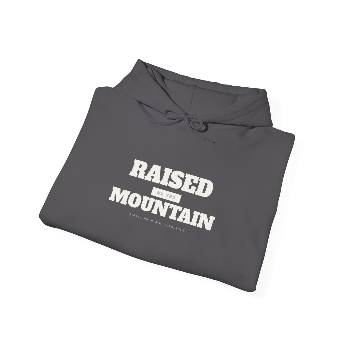 Raised on the Mountain Hoodie — Signal Mountain, TN