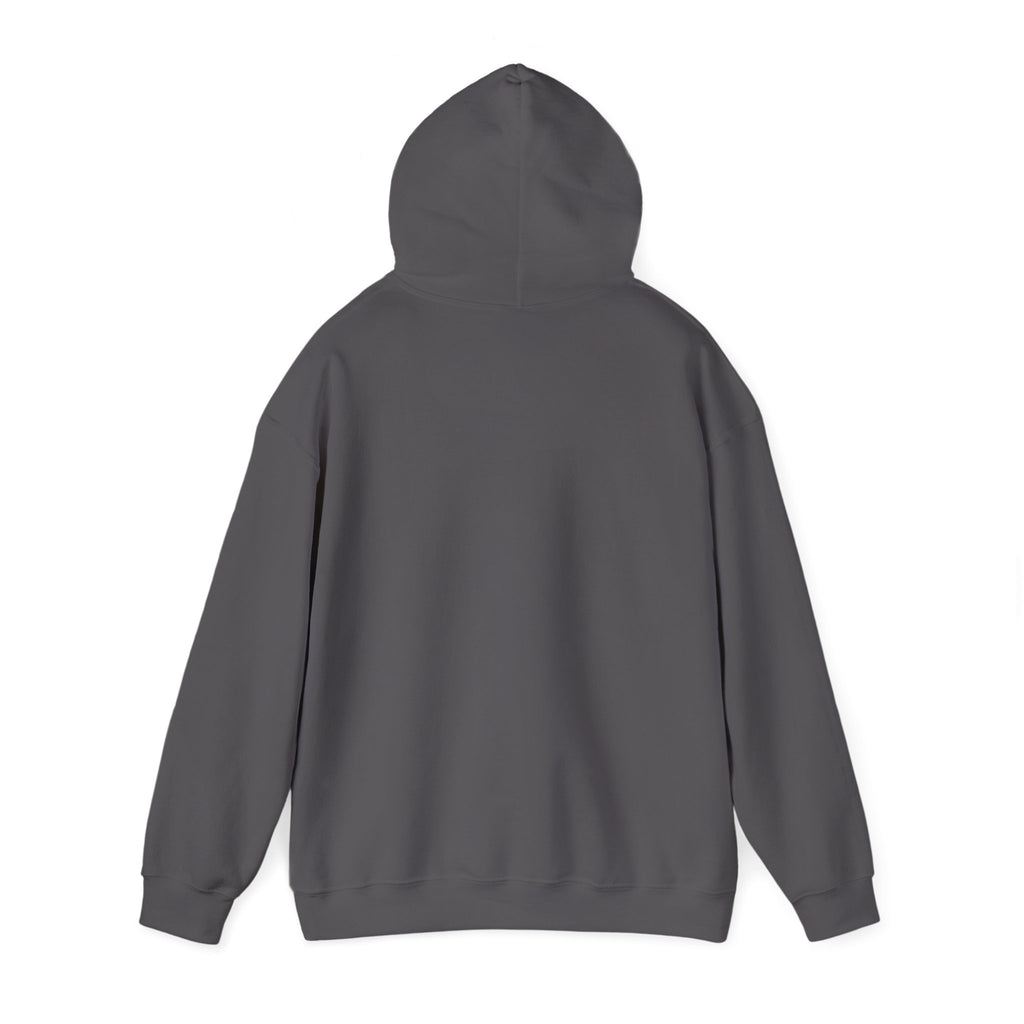 1/3 Mile High Hoodie — Signal Mountain, TN
