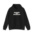Raised on the Mountain Hoodie — Signal Mountain, TN