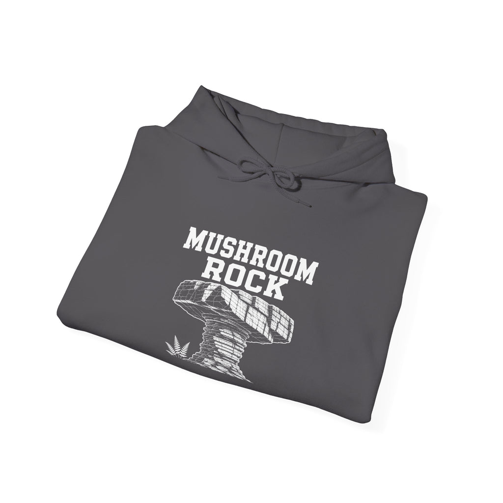 Mushroom Rock Hoodie — Signal Mountain, TN