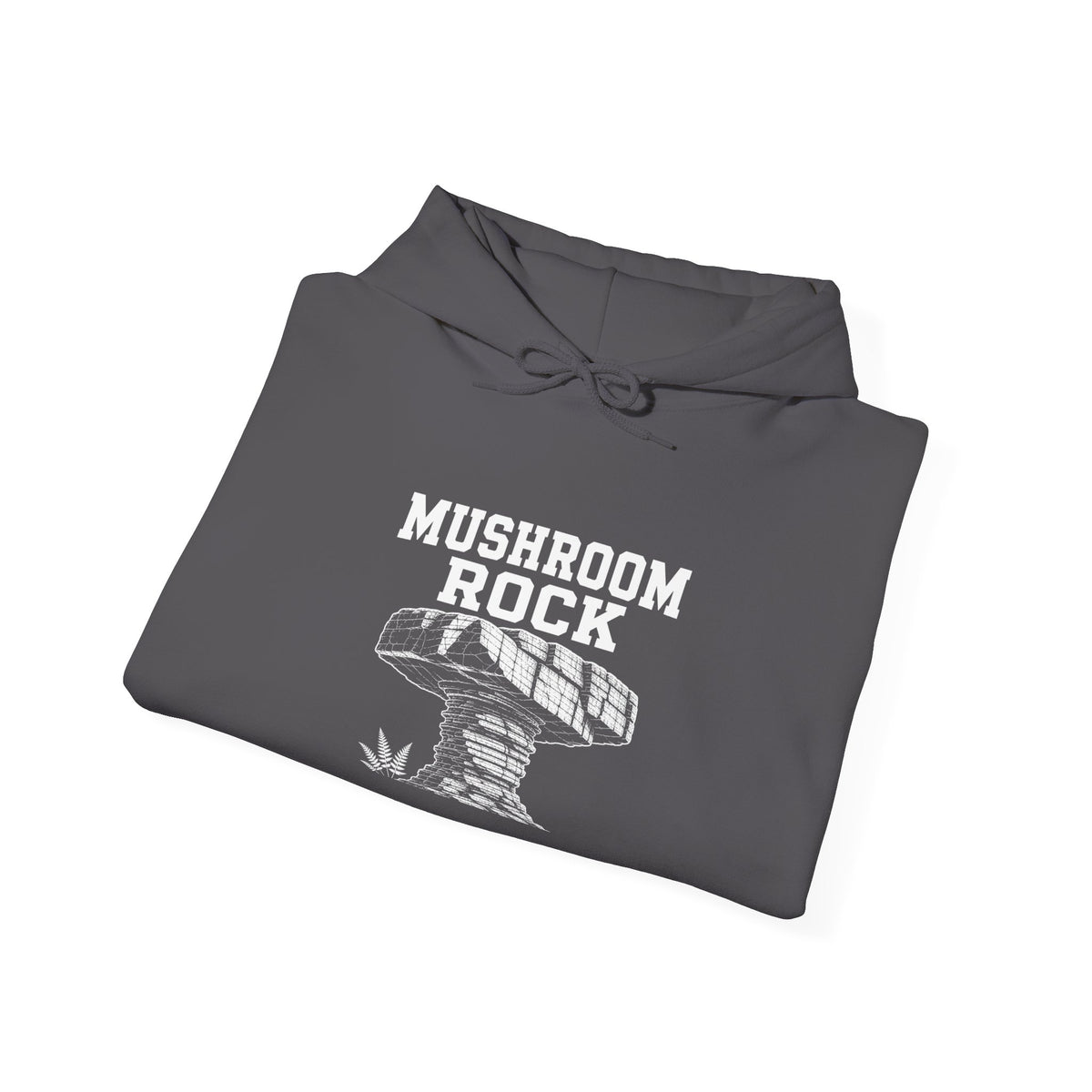 Mushroom Rock Hoodie — Signal Mountain, TN